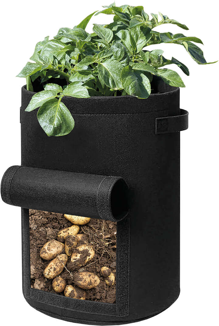 QUEDLINBURGER SAATGUT Kartoffel-Pflanzsack